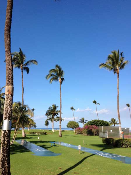 コンドミニアム